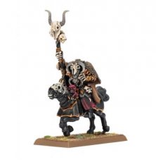 Warriors of Chaos Sorcerer of Chaos on Chaos Steed