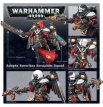 Adepta Sororitas Seraphim Squad