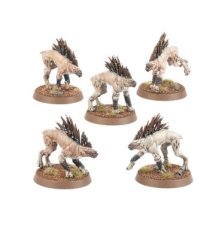 T'au Empire Kroot Hounds